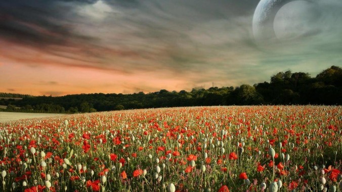 SpaceX 星舰 36 号火箭静态点火测试爆炸，爆炸的原因是什么？会对星舰发展产生什么影响？